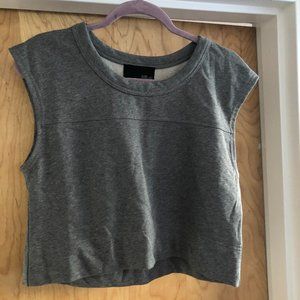 Fate NWT Size L Crop Top Grey